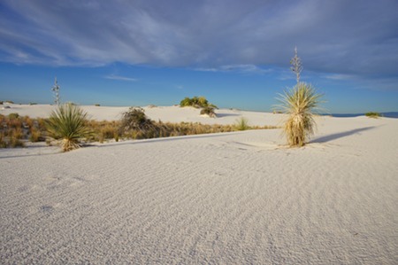 White sands