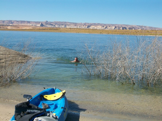 Ko zwemt in Lake Powell