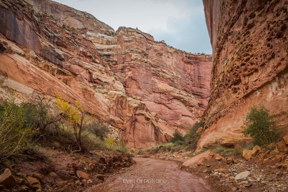 Capitol Reef national park