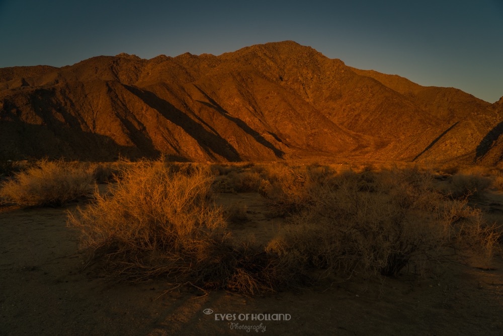 sunrise Borrego springs