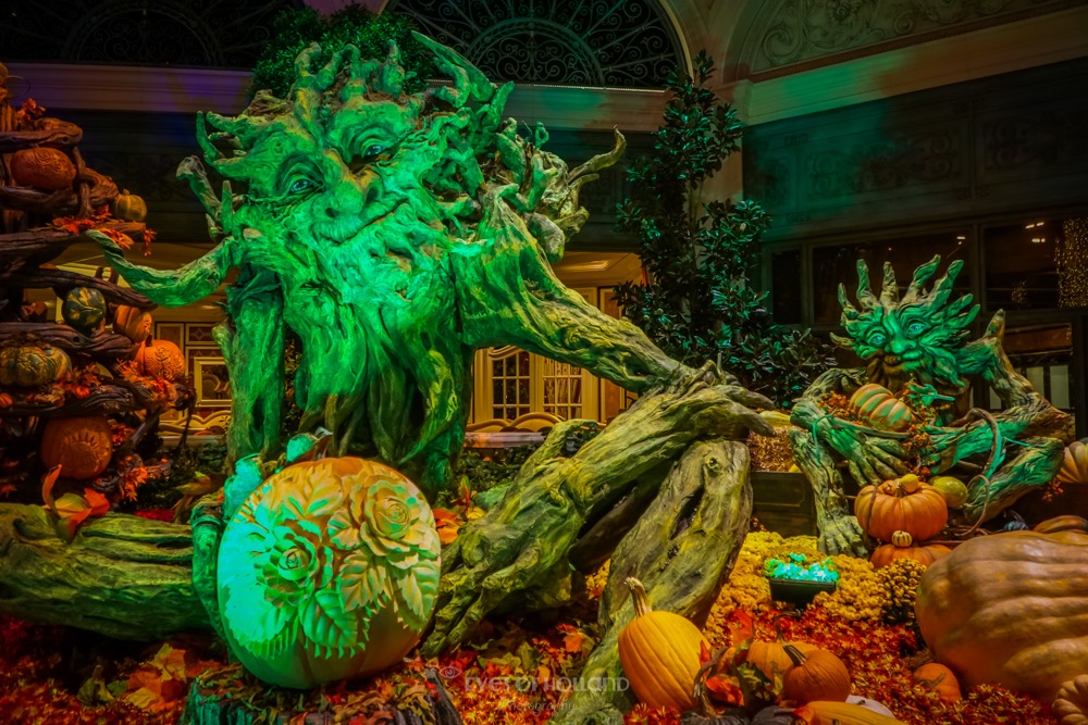 in Bellagio