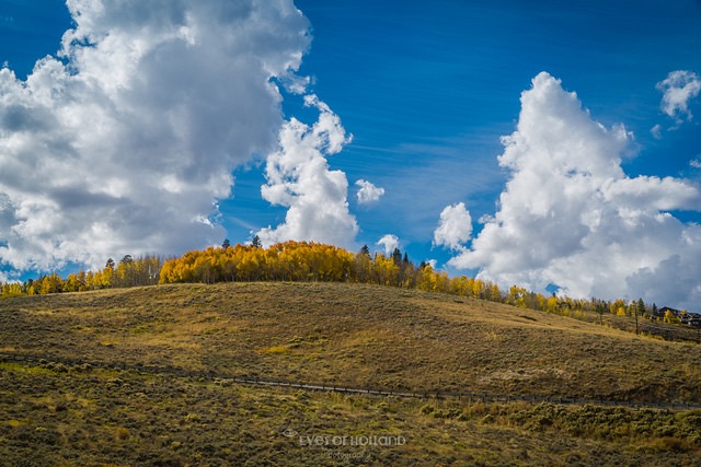 Onderweg in Colorado, gele aspen