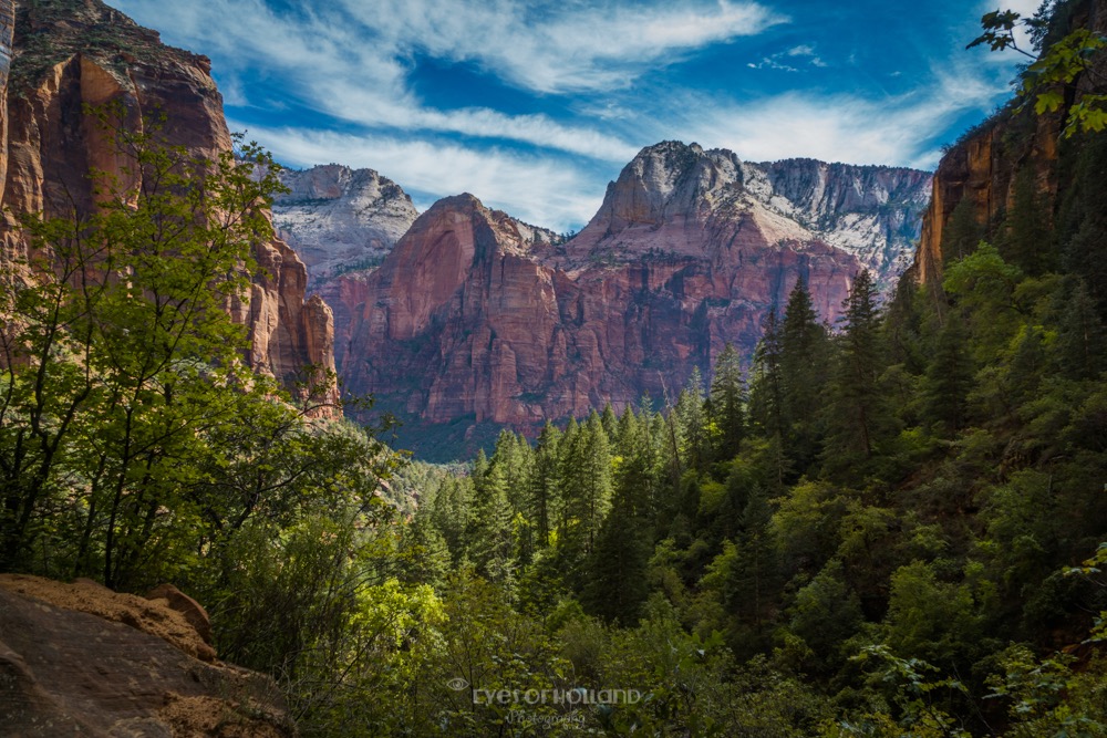 Zion np