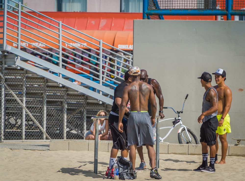 muscle beach