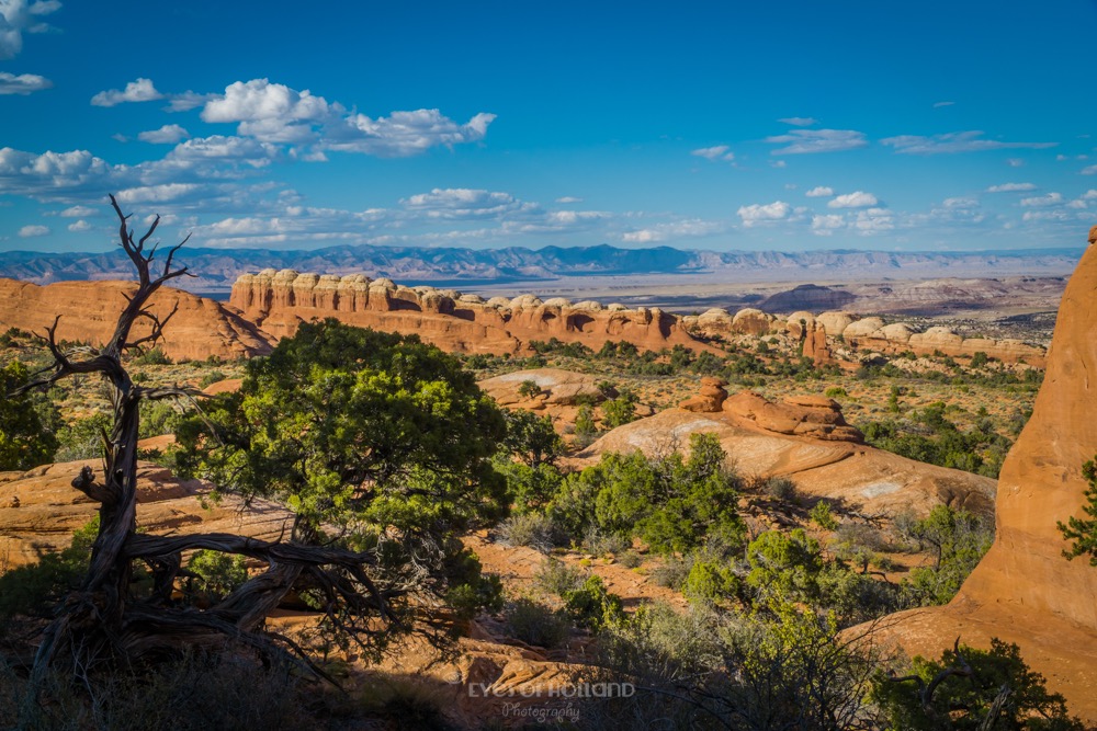 Arches national park