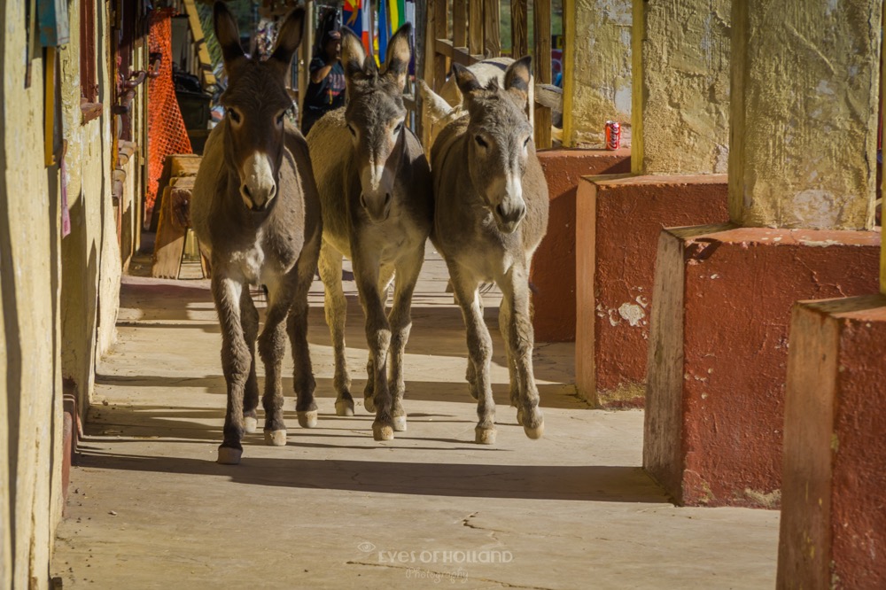 Oatman