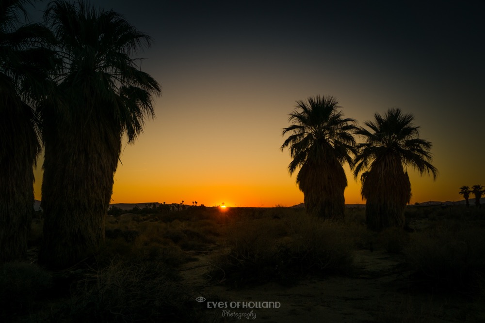 sunrise Borrego springs