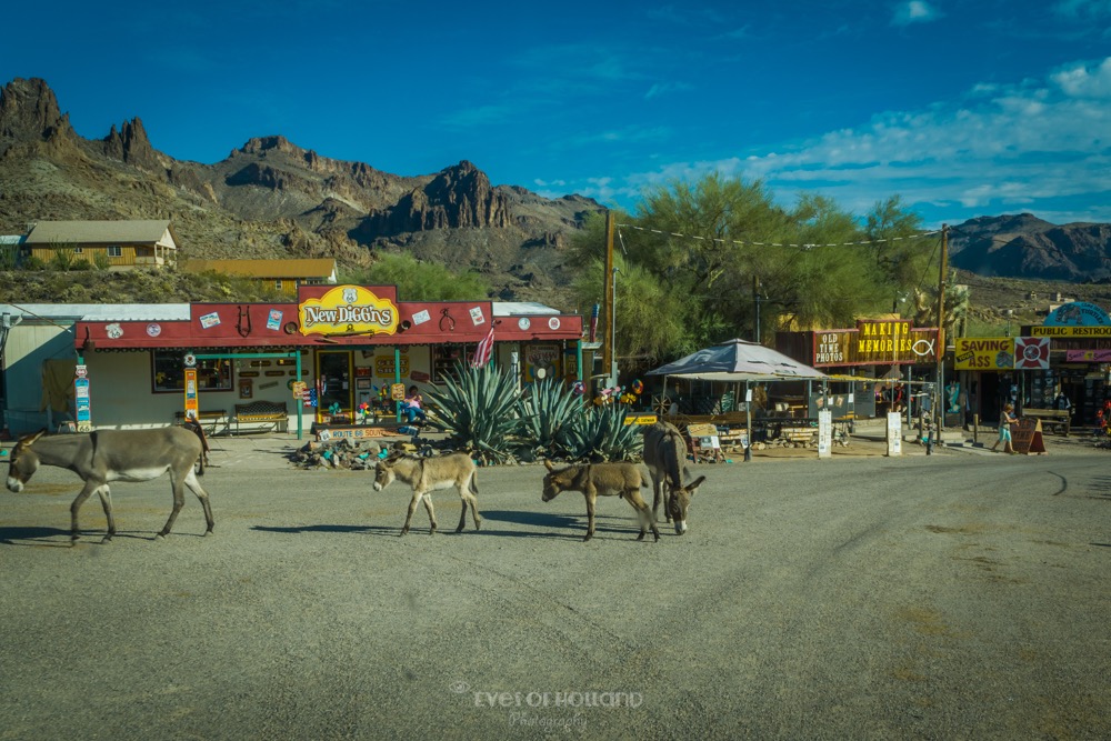 Oatman