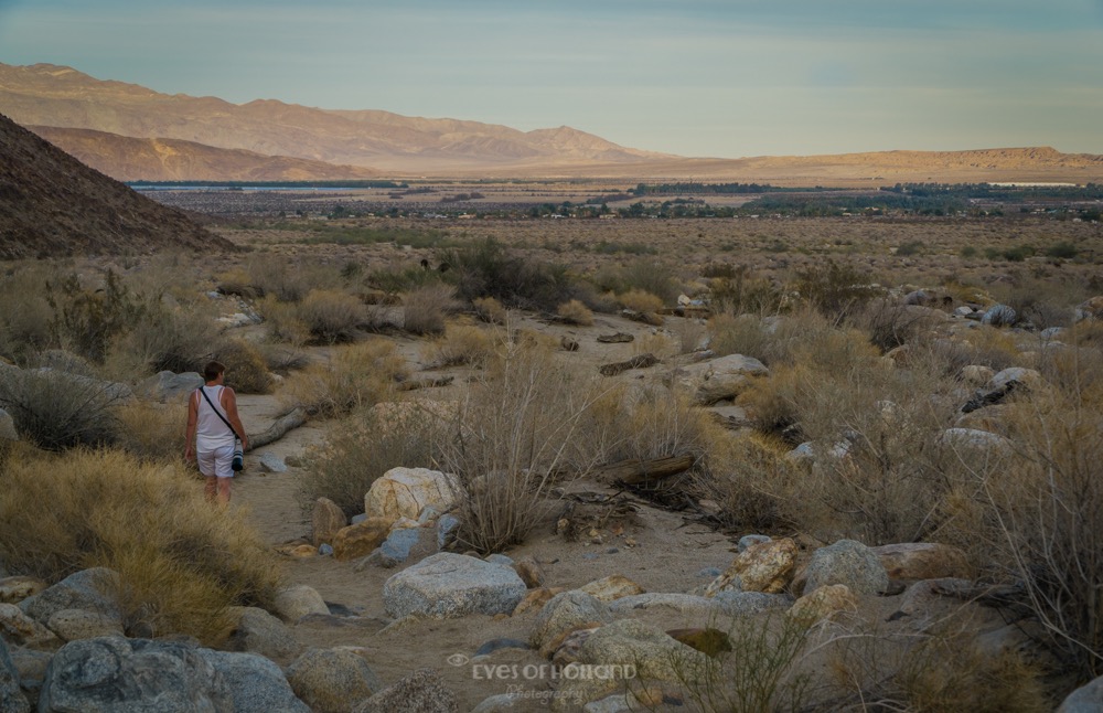 sunset borrego springs