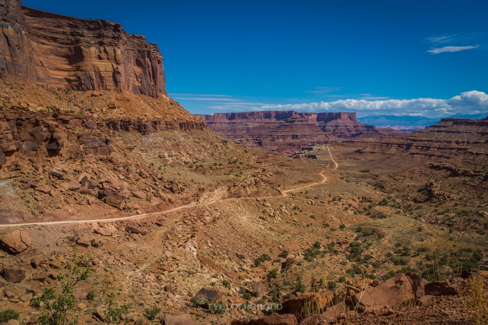 Shafertrail