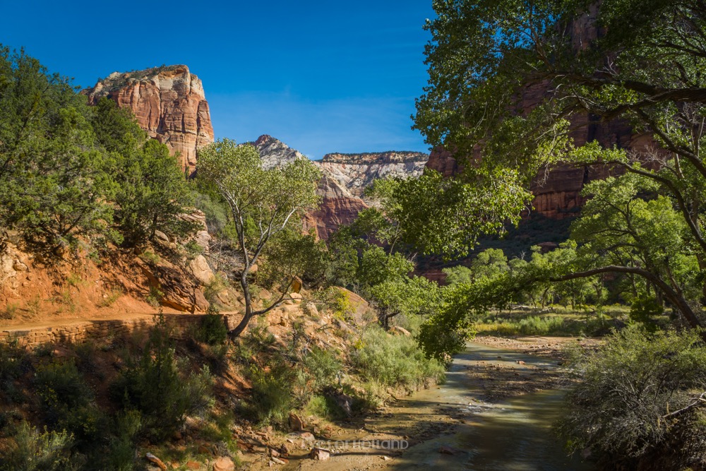 Zion np