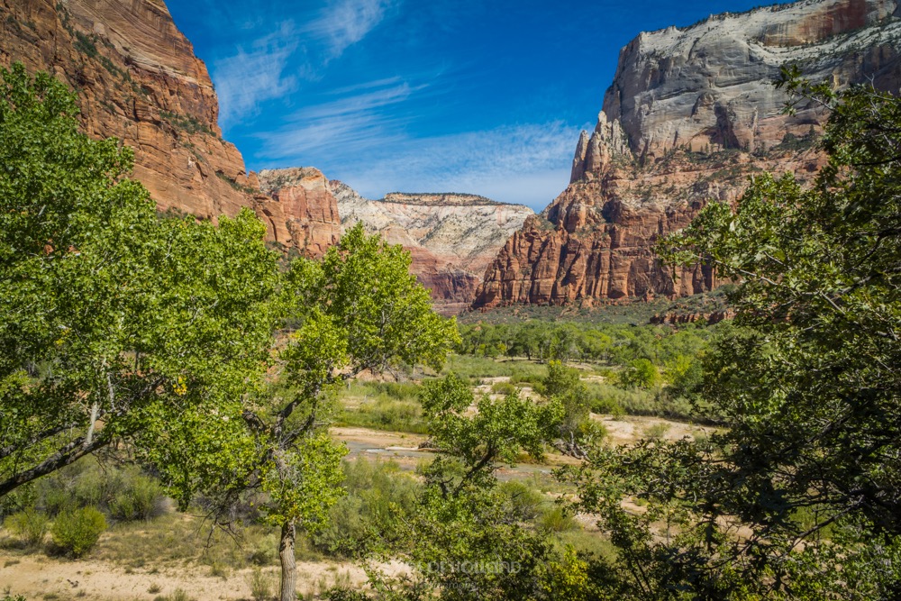 Zion np