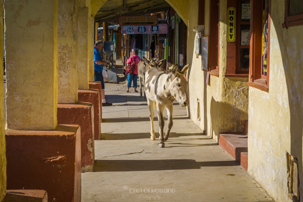 Oatman