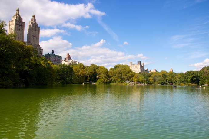 Central park