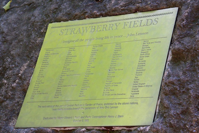 Strawberry fields