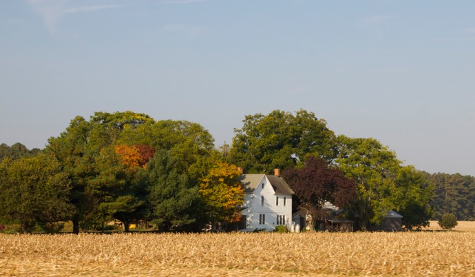 Beautifull landscape and houses along the road