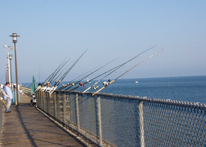 Hengels op Chesapeake bay bridge