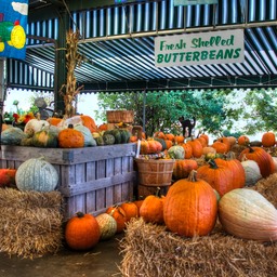 Pompoenen op de farm market