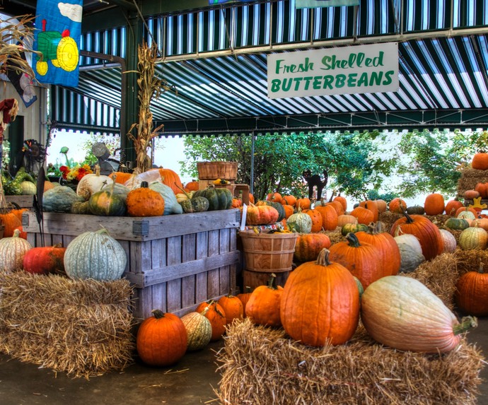 Pompoenen op de farm market