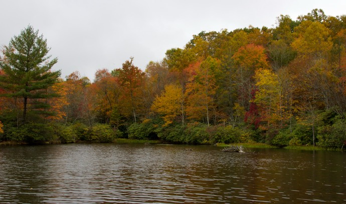 herfstkleuren