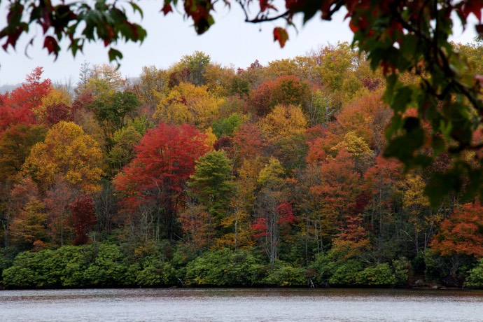 herfstkleuren 