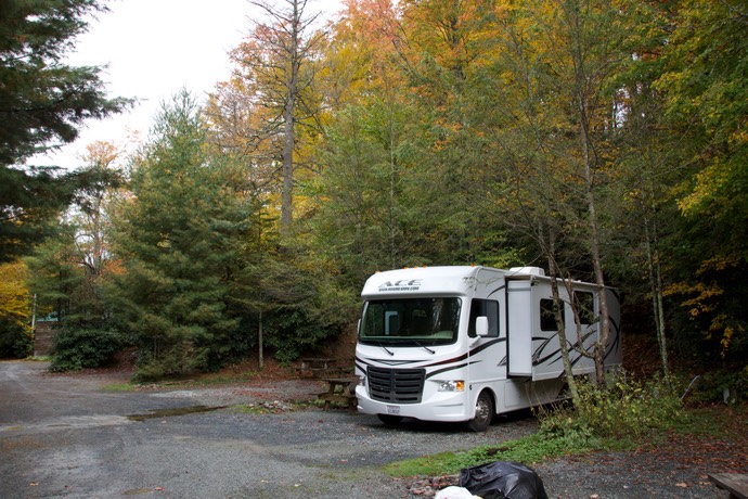 honey bear campground