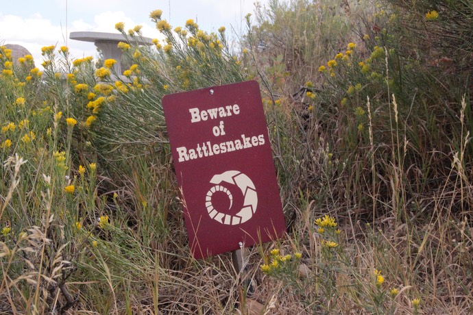 Beware of Rattlesnakes