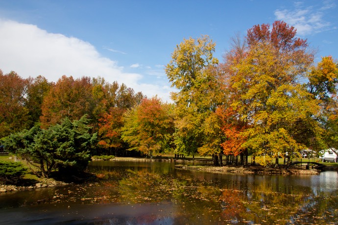 Vijver met herfstkleuren