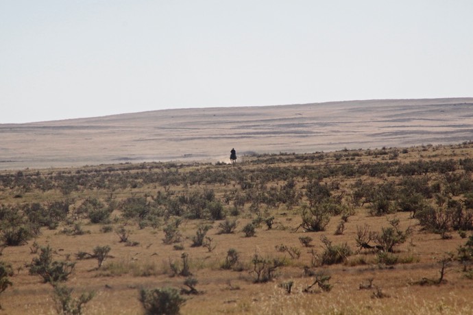 Lone some cowboy