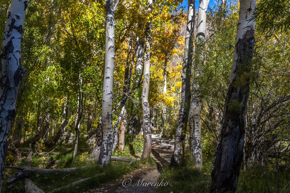 convict-lake-2-5