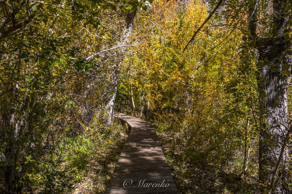 convict-lake-2-7