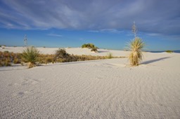 White sands