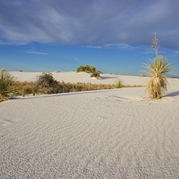 White sands