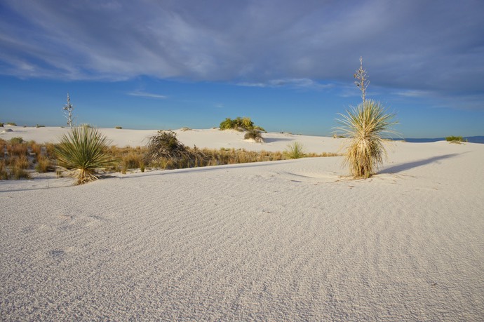 White sands