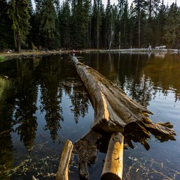 Manzanita lake