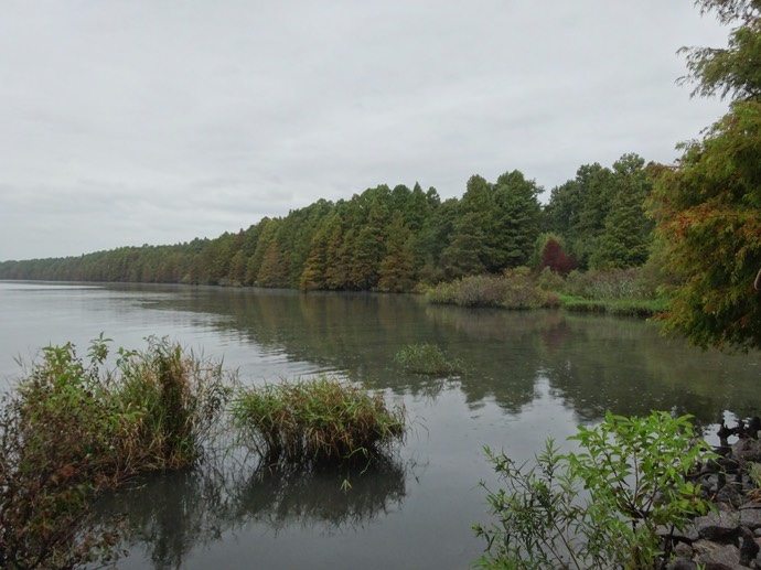 Pettigrew state park