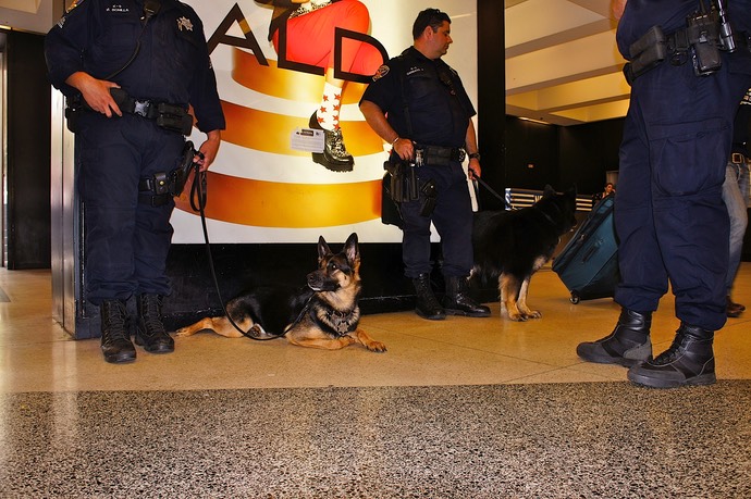 Snifferdog op het BART station in san Francisco