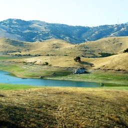 Gele heuvels onderweg naar Yosemite