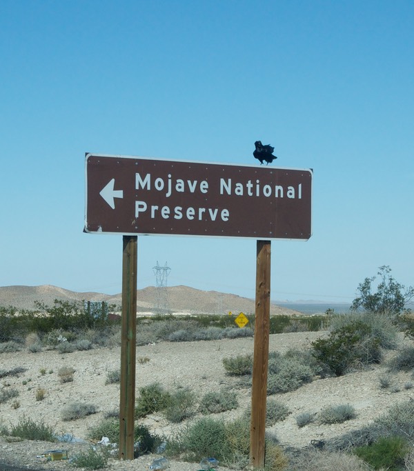Sign met Mojave National Preserve