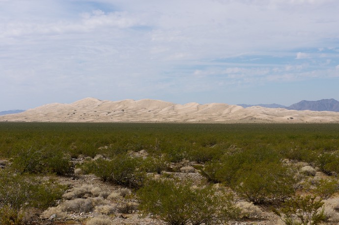 Kelso sanddunes