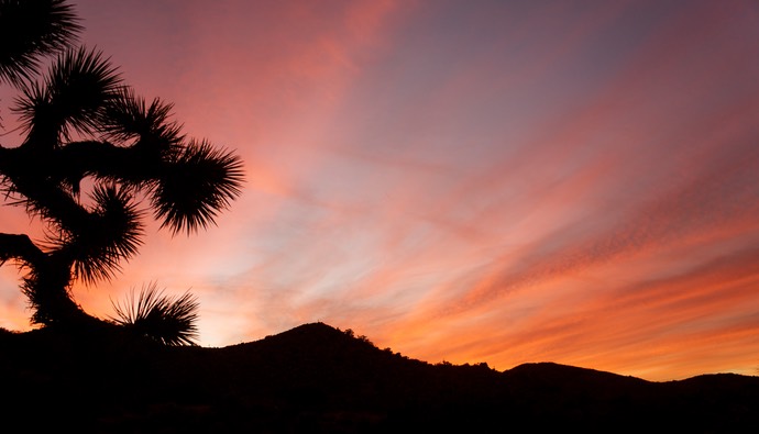 Zonsondergang in Joshua Tree NP