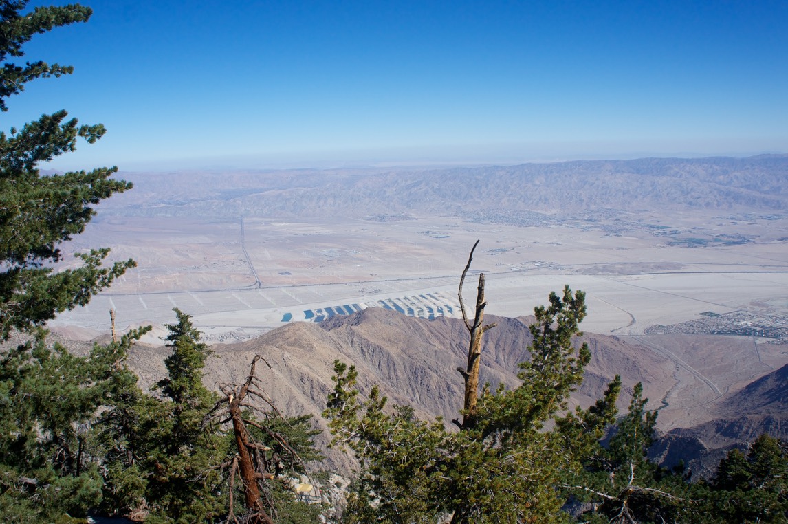 Uitzicht over Palm Springs