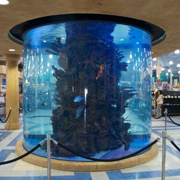 Aquarium in Fry’s