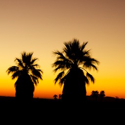 Zonsondergang Borrego Springs