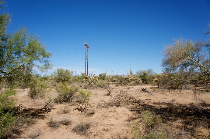 Landschap met struiken en cactussen