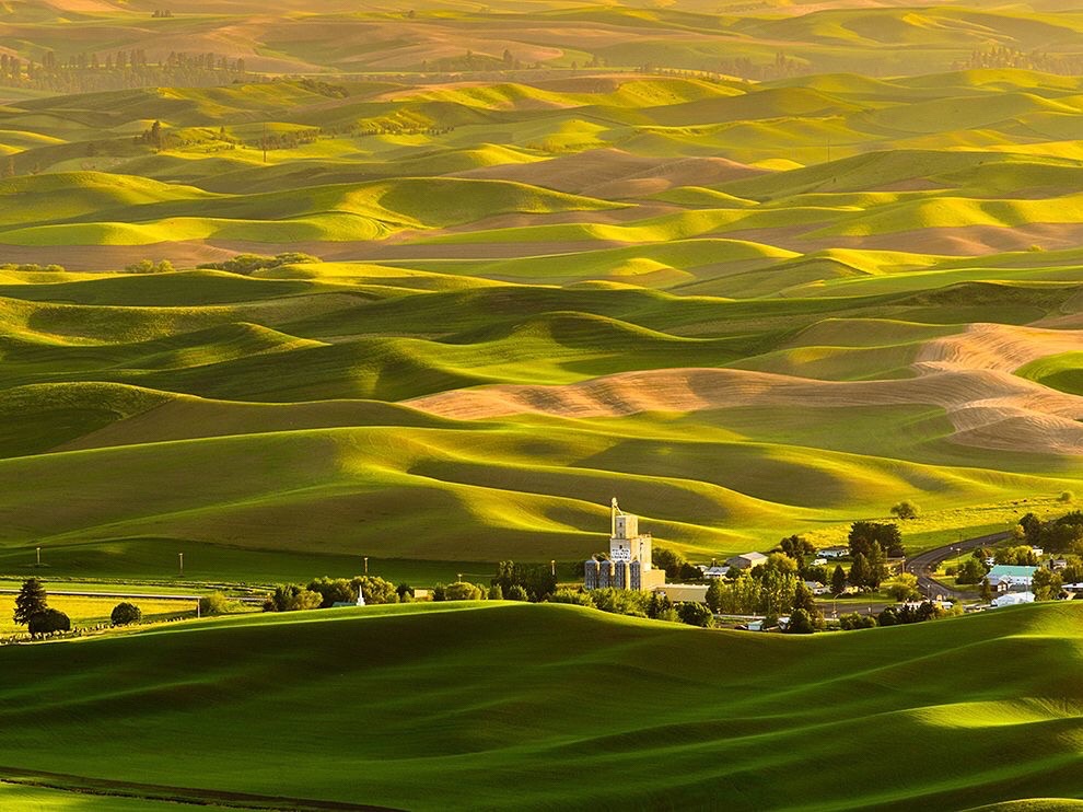 The Palouse