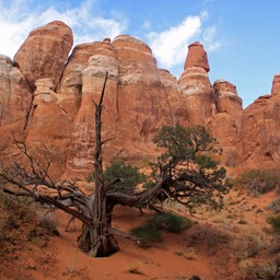 Fiery Furnace trail