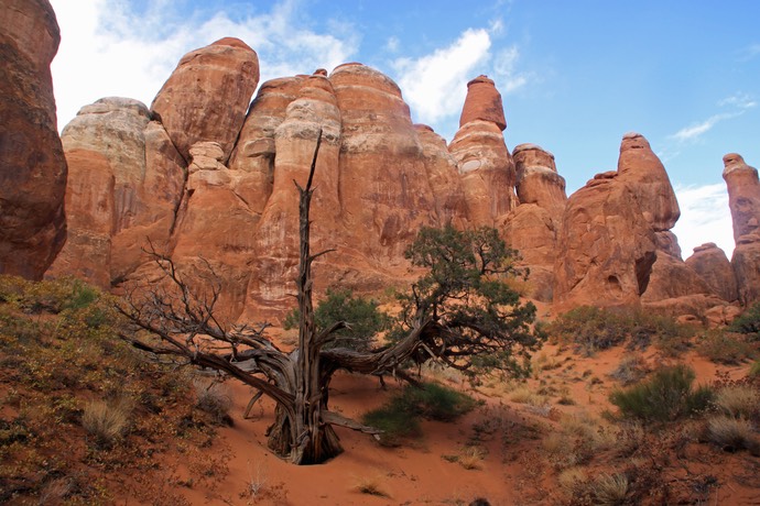 Fiery Furnace trail