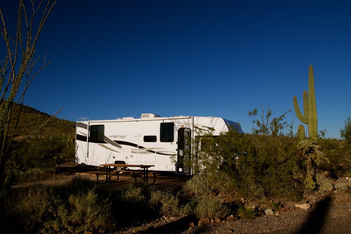 Op de campground bij Organ pipe NM