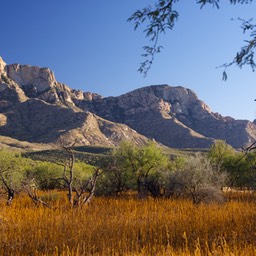 Catalina State park